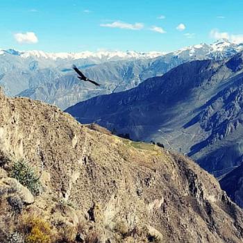 Vive la mejor Experiencia en Colca trekking 2D/1N